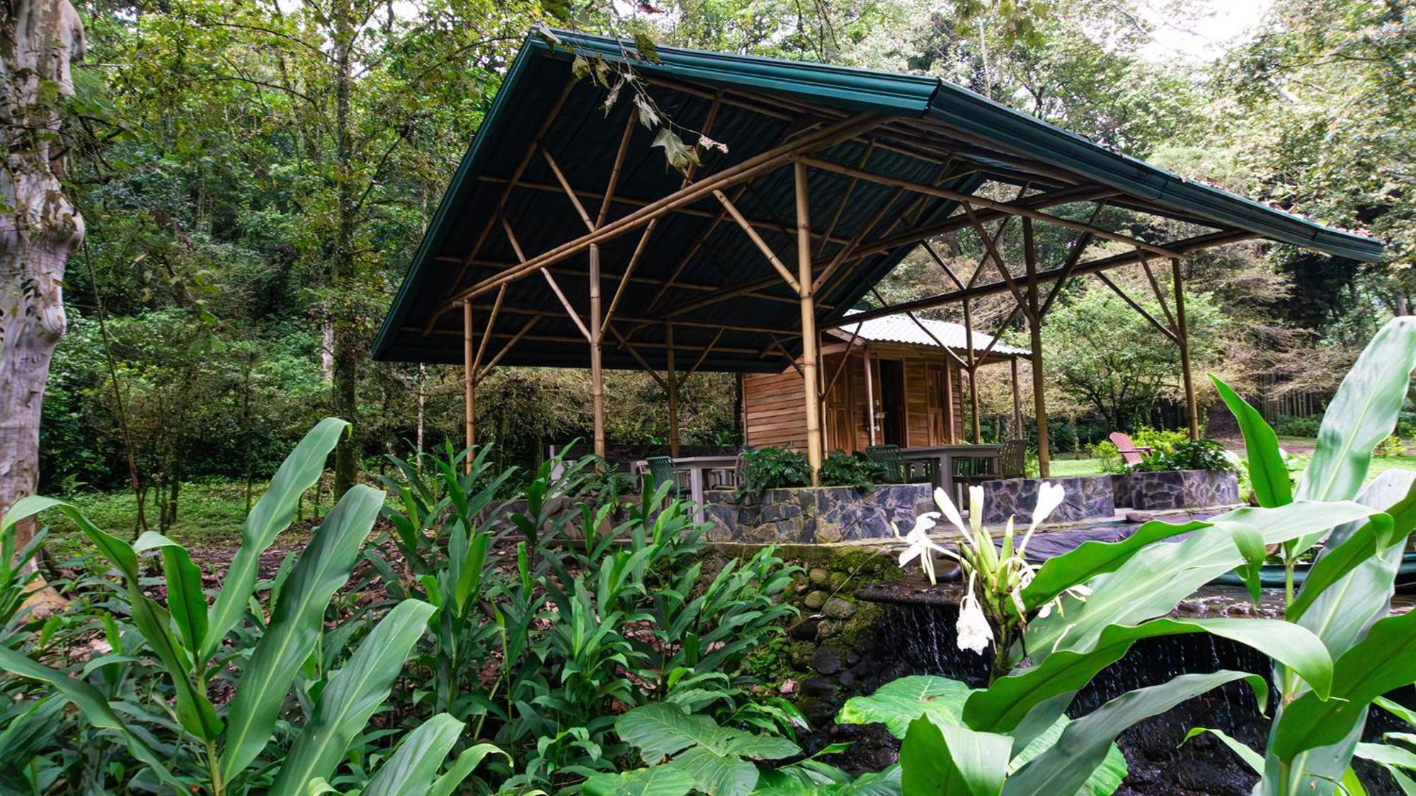 Boscana Forest Resort & Residence Coscomatepec de Bravo ภายนอก รูปภาพ